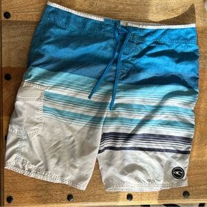 O'Neill Blue and White Striped Board Shorts